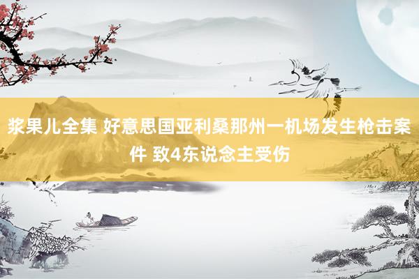 浆果儿全集 好意思国亚利桑那州一机场发生枪击案件 致4东说念主受伤