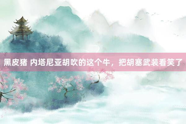 黑皮猪 内塔尼亚胡吹的这个牛，把胡塞武装看笑了