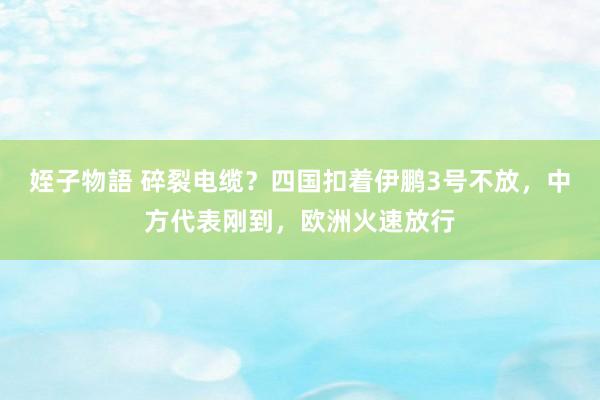 姪子物語 碎裂电缆？四国扣着伊鹏3号不放，中方代表刚到，欧洲火速放行