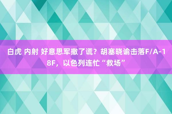 白虎 内射 好意思军撒了谎？胡塞晓谕击落F/A-18F，以色列连忙“救场”