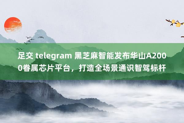 足交 telegram 黑芝麻智能发布华山A2000眷属芯片平台，打造全场景通识智驾标杆