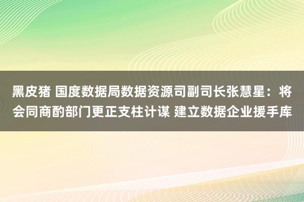 黑皮猪 国度数据局数据资源司副司长张慧星:将会同商酌部门更正支柱计谋 建立数据企业援手库