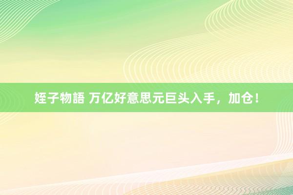 姪子物語 万亿好意思元巨头入手，加仓！
