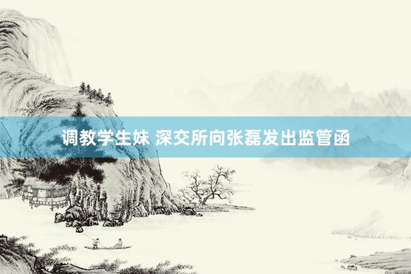 调教学生妹 深交所向张磊发出监管函