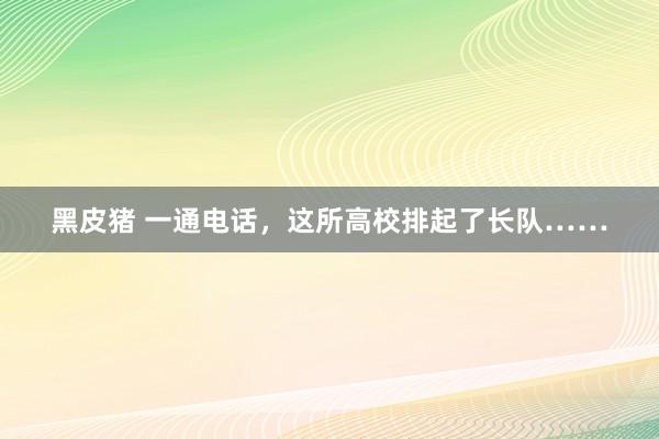 黑皮猪 一通电话，这所高校排起了长队……