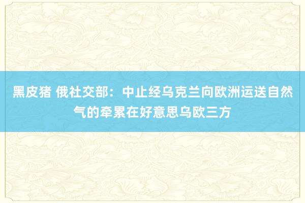 黑皮猪 俄社交部：中止经乌克兰向欧洲运送自然气的牵累在好意思乌欧三方