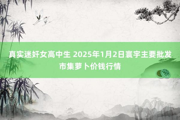 真实迷奸女高中生 2025年1月2日寰宇主要批发市集萝卜价钱行情