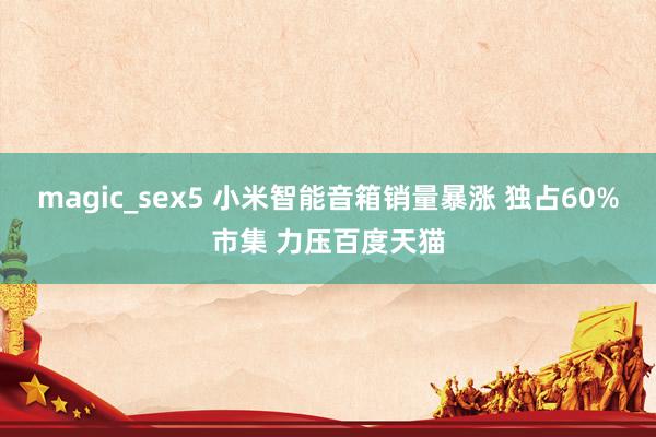 magic_sex5 小米智能音箱销量暴涨 独占60%市集 力压百度天猫