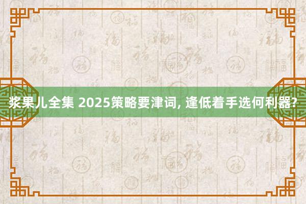 浆果儿全集 2025策略要津词， 逢低着手选何利器?