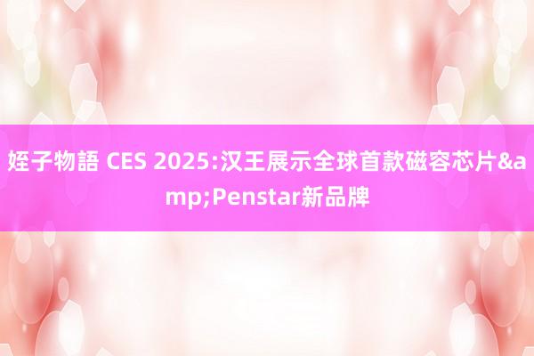 姪子物語 CES 2025:汉王展示全球首款磁容芯片&Penstar新品牌