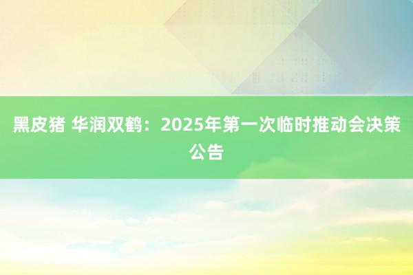 黑皮猪 华润双鹤：2025年第一次临时推动会决策公告