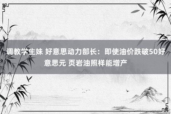 调教学生妹 好意思动力部长：即使油价跌破50好意思元 页岩油照样能增产
