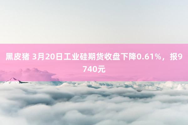黑皮猪 3月20日工业硅期货收盘下降0.61%，报9740元
