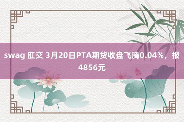 swag 肛交 3月20日PTA期货收盘飞腾0.04%，报4856元