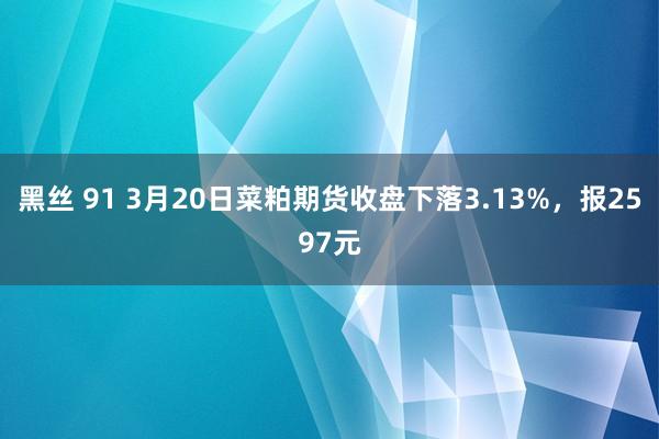 黑丝 91 3月20日菜粕期货收盘下落3.13%，报2597元
