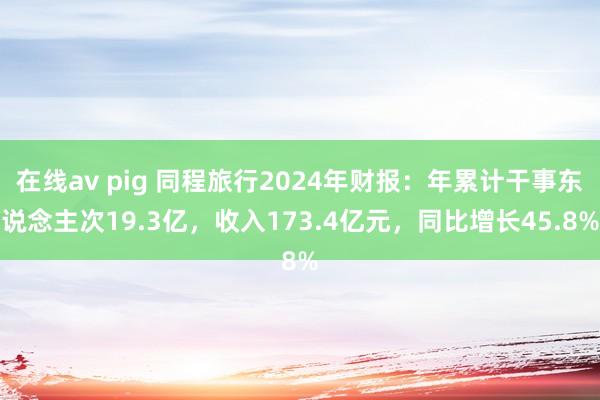 在线av pig 同程旅行2024年财报：年累计干事东说念主次19.3亿，收入173.4亿元，同比增长45.8%