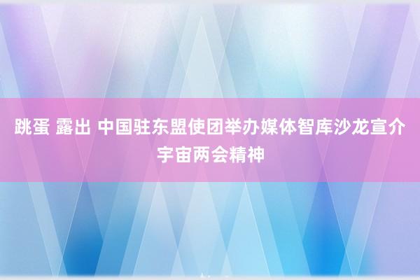 跳蛋 露出 中国驻东盟使团举办媒体智库沙龙宣介宇宙两会精神