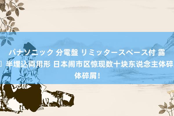 パナソニック 分電盤 リミッタースペース付 露出・半埋込両用形 日本闹市区惊现数十块东说念主体碎屑！