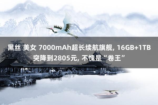 黑丝 美女 7000mAh超长续航旗舰， 16GB+1TB突降到2805元， 不愧是“卷王”