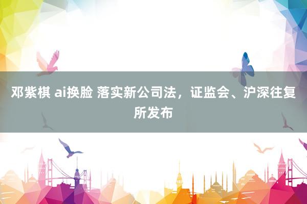 邓紫棋 ai换脸 落实新公司法，证监会、沪深往复所发布