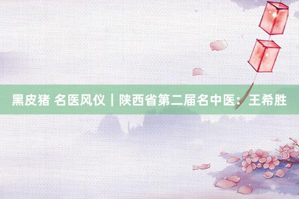 黑皮猪 名医风仪｜陕西省第二届名中医：王希胜