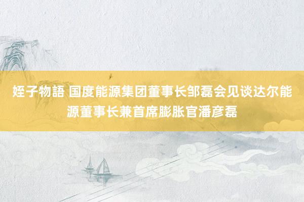 姪子物語 国度能源集团董事长邹磊会见谈达尔能源董事长兼首席膨胀官潘彦磊