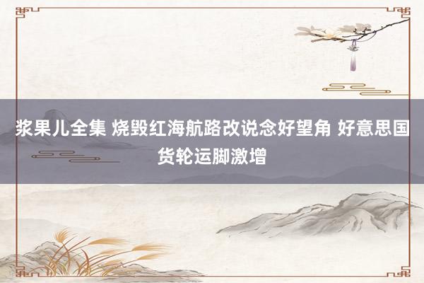 浆果儿全集 烧毁红海航路改说念好望角 好意思国货轮运脚激增