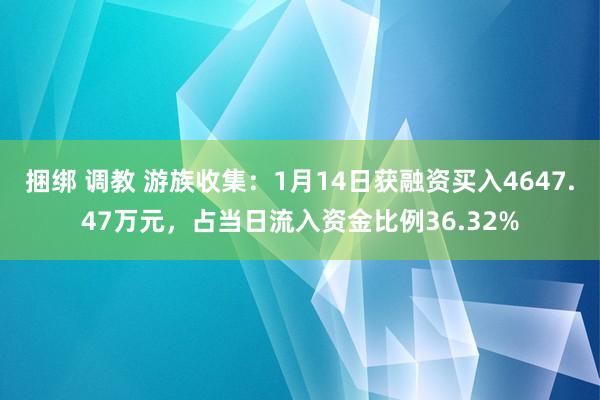 捆绑 调教 游族收集：1月14日获融资买入4647.47万元，占当日流入资金比例36.32%