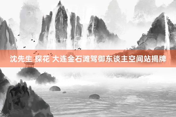 沈先生 探花 大连金石滩驾御东谈主空间站揭牌