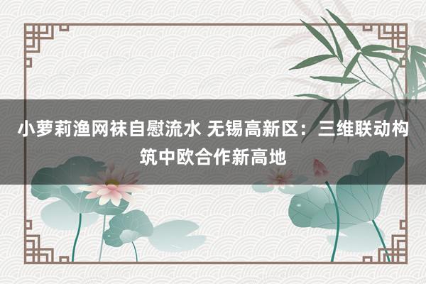 小萝莉渔网袜自慰流水 无锡高新区：三维联动构筑中欧合作新高地