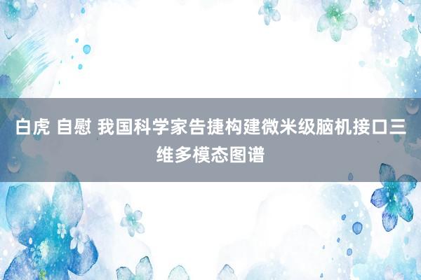 白虎 自慰 我国科学家告捷构建微米级脑机接口三维多模态图谱