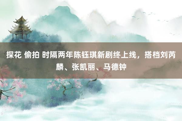 探花 偷拍 时隔两年陈钰琪新剧终上线，搭档刘芮麟、张凯丽、马德钟