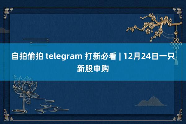 自拍偷拍 telegram 打新必看 | 12月24日一只新股申购