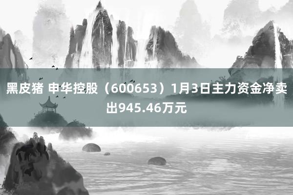 黑皮猪 申华控股（600653）1月3日主力资金净卖出945.46万元