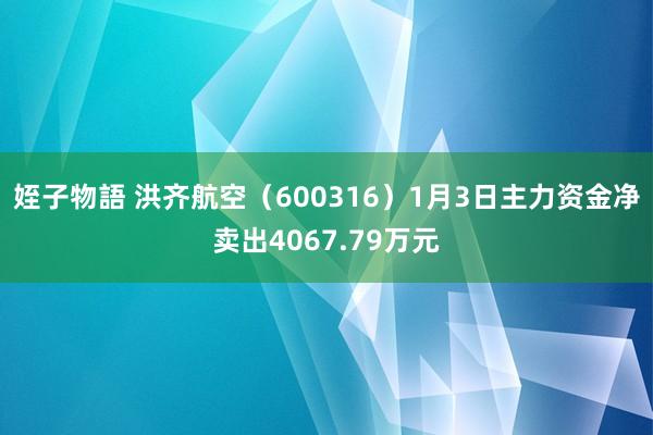 姪子物語 洪齐航空（600316）1月3日主力资金净卖出4067.79万元