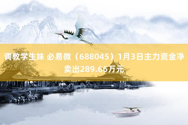 调教学生妹 必易微（688045）1月3日主力资金净卖出289.66万元