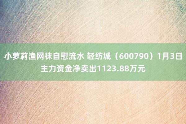 小萝莉渔网袜自慰流水 轻纺城（600790）1月3日主力资金净卖出1123.88万元