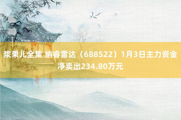 浆果儿全集 纳睿雷达（688522）1月3日主力资金净卖出234.80万元
