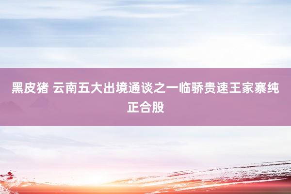 黑皮猪 云南五大出境通谈之一临骄贵速王家寨纯正合股