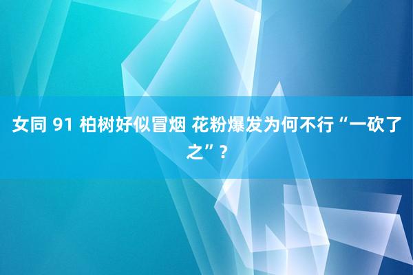 女同 91 柏树好似冒烟 花粉爆发为何不行“一砍了之”？