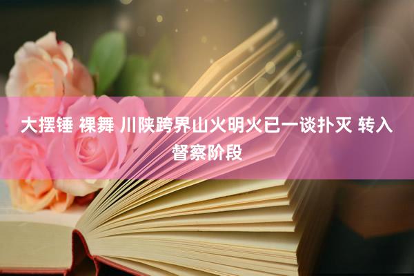 大摆锤 裸舞 川陕跨界山火明火已一谈扑灭 转入督察阶段