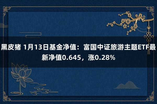 黑皮猪 1月13日基金净值：富国中证旅游主题ETF最新净值0.645，涨0.28%