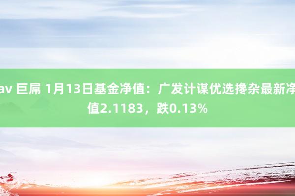 av 巨屌 1月13日基金净值：广发计谋优选搀杂最新净值2.1183，跌0.13%
