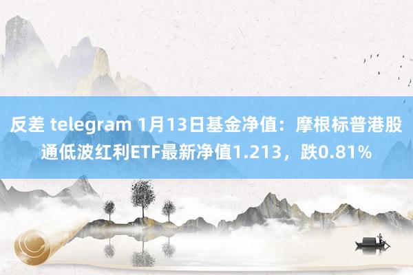 反差 telegram 1月13日基金净值：摩根标普港股通低波红利ETF最新净值1.213，跌0.81%