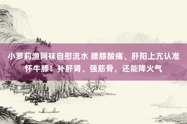 小萝莉渔网袜自慰流水 腰膝酸痛、肝阳上亢认准怀牛膝！补肝肾、强筋骨，还能降火气