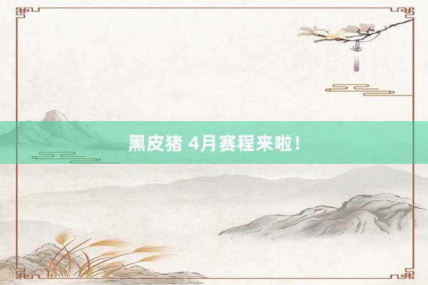 黑皮猪 4月赛程来啦！