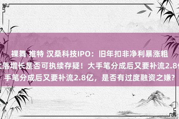 裸舞 推特 汉桑科技IPO：旧年扣非净利暴涨粗略助力上会，功绩大起大落增长是否可执续存疑！大手笔分成后又要补流2.8亿，是否有过度融资之嫌?
