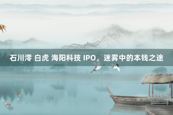 石川澪 白虎 海阳科技 IPO，迷雾中的本钱之途
