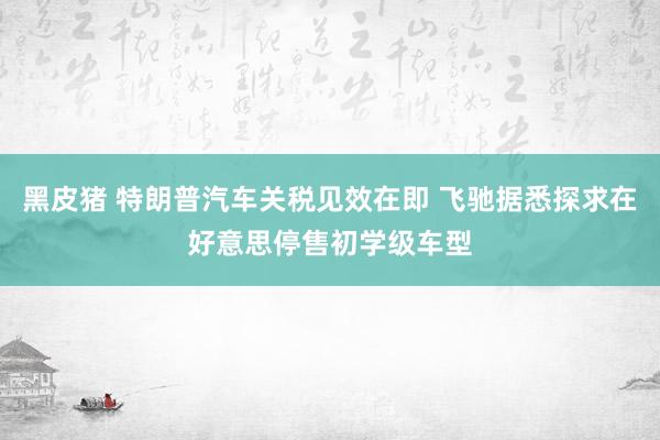黑皮猪 特朗普汽车关税见效在即 飞驰据悉探求在好意思停售初学级车型