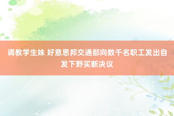 调教学生妹 好意思邦交通部向数千名职工发出自发下野买断决议